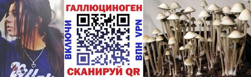 Псилоцибиновые грибы мухоморы  mega tor  Балабаново  цены  